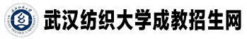 武汉纺织大学成教招生网